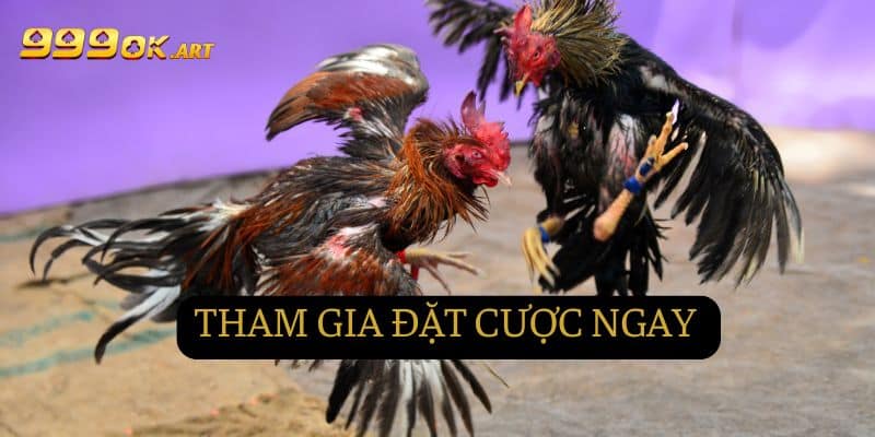 Hoàn thành xong là bạn đã có thể tham gia đặt cược